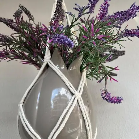 Camelia 2 Beautiful 1+1 On Cleopatra Apartamento