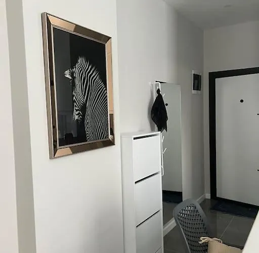 Camelia 2 Beautiful 1+1 On Cleopatra *