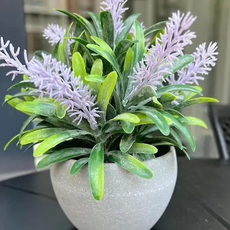 Camelia 2 Beautiful 1+1 On Cleopatra Apartament Alanya