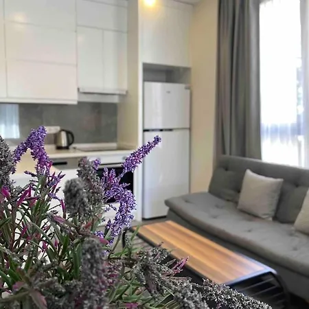 Camelia 2 Beautiful 1+1 On Cleopatra Apartament *