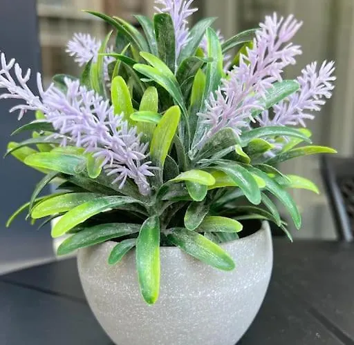 Camelia 2 Beautiful 1+1 On Cleopatra Apartment Alanya